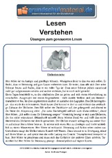 Elefantenrache - mittel.pdf